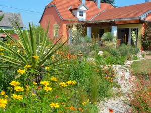 Yucca bringt mediterrane Stimmung in den Garten