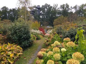 Herbst im Garten
