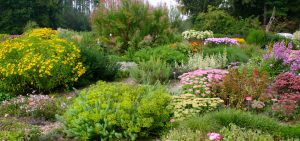 Herbstliche Staudenbeete