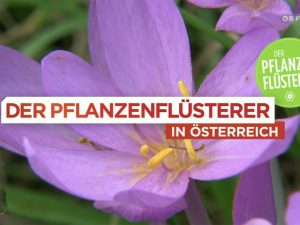 Sendungstipp "Der Pflanzenflüsterer"