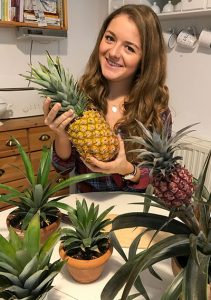 Exotische Früchte selber ziehen