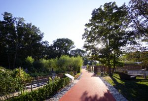 Garten Tulln (Bild: A. Haiden)