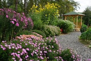 Natur im Garten „Lehrwerkstatt Natur“