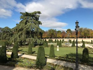 Parks in Madrid - selbst das Gras überlebt die Hitze