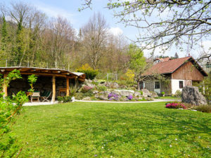 Natur im Garten am 28. April 2019