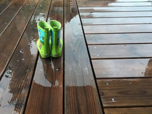 Regen