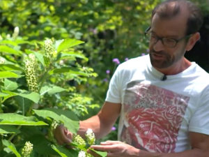 Der Biogärtner im eigenen Garten