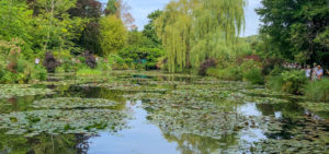 Monets berühmter Seerosenteich