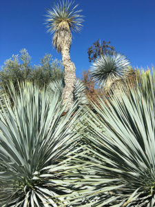 Gartenreise Spanien (Bild: ORF/Ralph Huber-Blechinger)