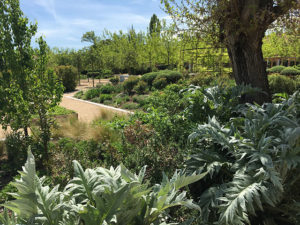 Gartenreise Spanien (Bild: ORF/Ralph Huber-Blechinger)