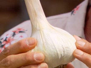 Knoblauch