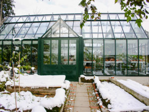 Glashaus im Winter