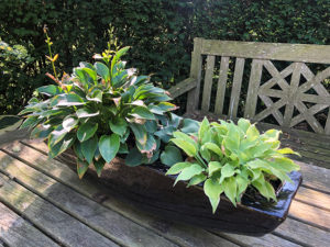 Garten Fröming
