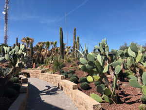 Desert City Madrid (Bild: Thomas Amersberger)