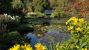 Gartenreise nach Frankreich