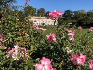 Parc de Bagatelle