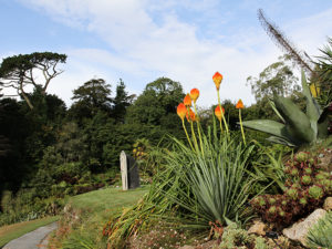 Cornwall Trebah Garden