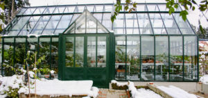 Glashaus im Winter