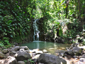 Gartenreise nach Guadeloupe