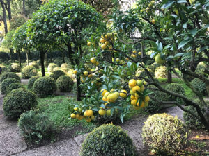 Garten in Rom