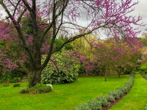 Rom, Ninfa