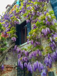 Garten in Venedig