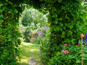 "Natur im Garten" in Offenhausen (Bild: ORF/L. Mayrhofer)