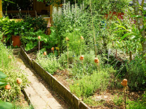 "Natur im Garten" in Mattsee (Bild: ORF/Leopold Mayrhofer)
