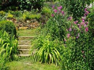 "Natur im Garten" in Offenhausen (Bild: ORF/L. Mayrhofer)