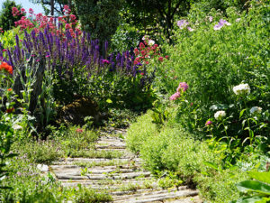 "Natur im Garten" in Arbesbach (Bild: ORF/Leopold Mayrhofer)