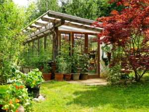 "Natur im Garten" in Mattsee (Bild: ORF/Leopold Mayrhofer)