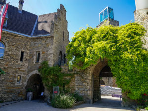 "Natur im Garten" in Waidhofen an der Ybbs (Bild: ORF/Leopold Mayrhofer)