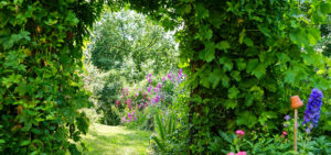 "Natur im Garten" in Offenhausen (Bild: ORF/L. Mayrhofer)