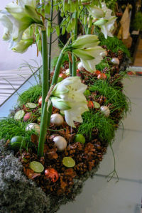 Amaryllis in einer Deko
