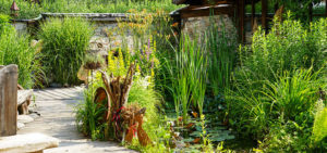 Natur im Garten in Leogang (Bild: ORF/L. Mayrhofer)