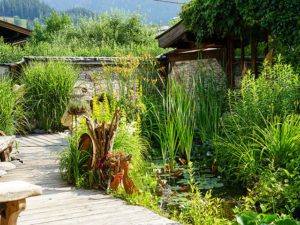 Natur im Garten in Leogang (Bild: ORF/L. Mayrhofer)