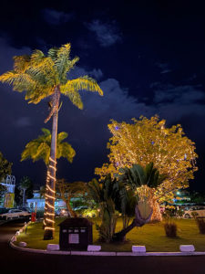 Weihnachten auf Guadeloupe