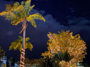 Weihnachten auf Guadeloupe