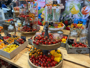 Mini-Tomaten in allen Farben