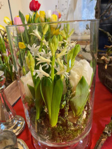 Frühlingsblüher