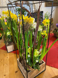Frühlingsblüher