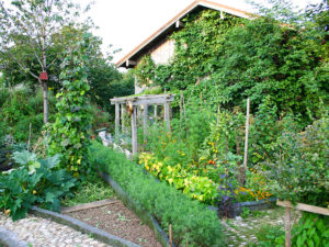 Bunte Vielfalt im Kreativgarten von Wolfram Franke