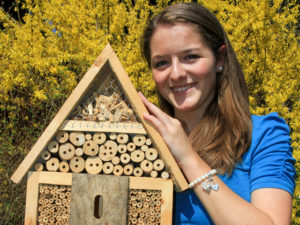 Insektenhotel