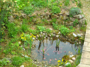 Trockenmauer und Miniteich