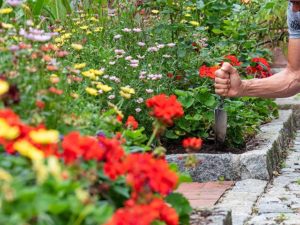 Gartenarbeit (Bild: Christoph Böhler)