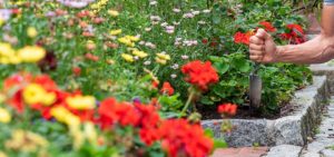 Gartenarbeit (Bild: Christoph Böhler)