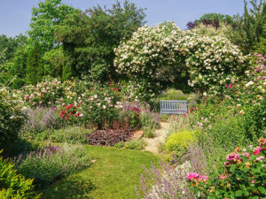 Burgenland - Gastgarten von Maria Sommeregger in Güssing