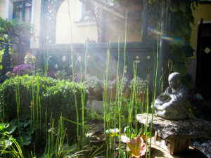 Wien: Gastgarten von Christa Velechovsky