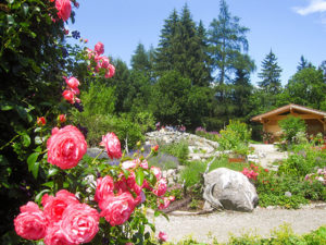 Tirol: Im Hildegard-Garten von Katharina Hechenberger in Reith im Alpbachtal.