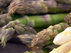 Spargel